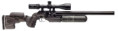 RIFLE FX AIRGUNS KING 600 GRS NW
